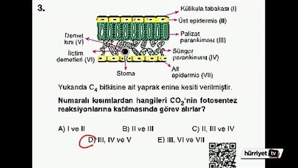 BİYOLOJİ SORULARININ ÇÖZÜMLERİ