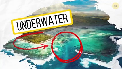 This All Facts Will Makes You Thinking that The World is a Weirdest Place