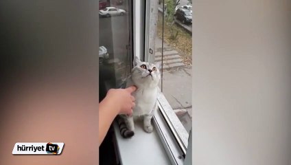 İnternette 2.7 milyon kez izlendi