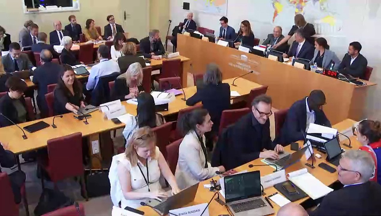 Commission des affaires étrangères : Avis budgétaires sur le projet de loi de finances pour 2023 (n° 273) - Mercredi 12 octobre 2022