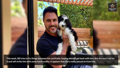 Bill Pays Dearly For Cheating, Katie Chose Carter Instead _ Bold and the Beautif
