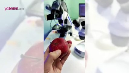 Meyve ve sebzeleri neden yıkamamız gerektiğini gösteren video!