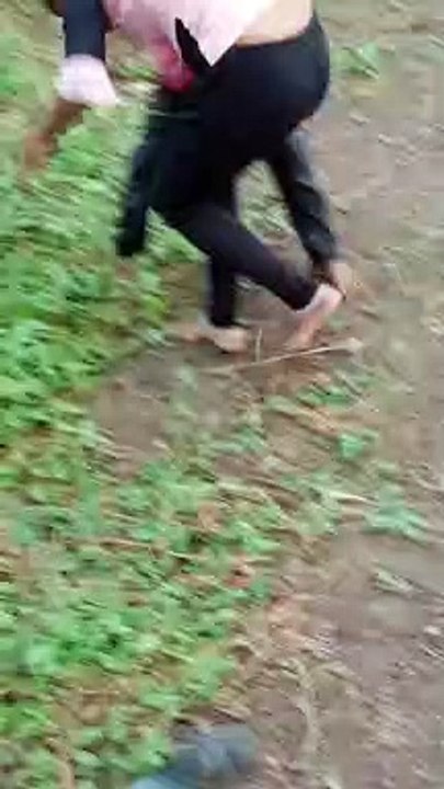 Funny videos