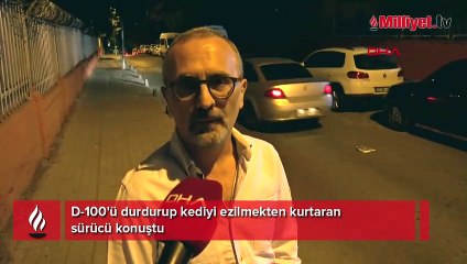 D-100'ü durdurup kediyi ezilmekten kurtaran sürücü konuştu