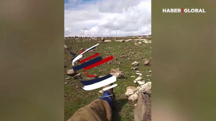 Kraker yemek için çıldıran koyun, koşarak çobanın yanına gitti