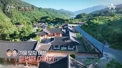 [예고] 정성 가득 아들의 아침상부터 웃음이 넘치는 감 따기까지! 가슴 따뜻해지는 전북 장수 여행