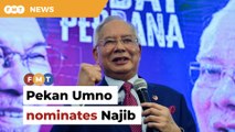 Pekan Umno nominates Najib as candidate for GE15