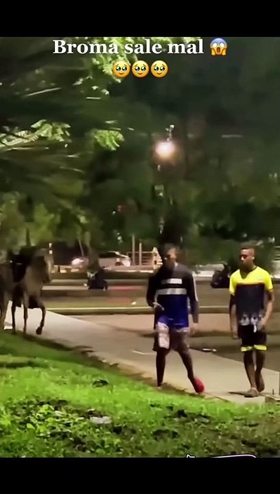 funny prank scared horse of ghost #ghost scared #hard prank