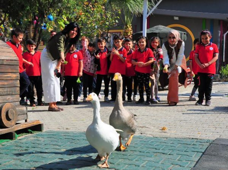 Okulun bahçesinde mini hayvanat bahçesi