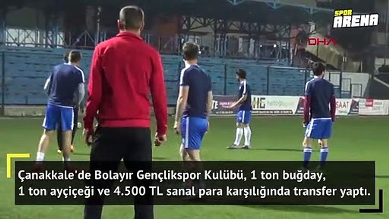 Ayçiçeği, buğday ve sanal para ile transfer!