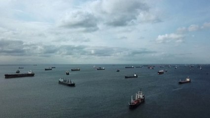 سفن الحبوب الأوكرانية تصطف قبالة سواحل إسطنبول لعبور "البوسفور"