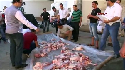 Suudi işadamı,Türkiye'de 390 kurban kestirdi