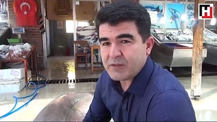 Mersin'de 400 kiloluk köpekbalığı yakalandı
