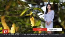 [날씨] 밤사이 내륙 짙은 안개 유의…내일 큰 일교차