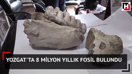 Yozgat'ta 8 milyon yıllık fosil bulundu