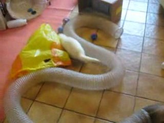 YOUPI, C'EST LA RECRE!