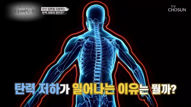 피부 탄력 저하가 일어나는 이유가 따로 있다..?! TV CHOSUN 20221013 방송