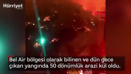 ABD'de yangın: 50 dönüm arazi küle döndü