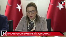 Bakan Pekcan'dan Brexit açıklaması