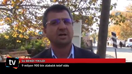 9 milyon 900 bin alabalık telef oldu