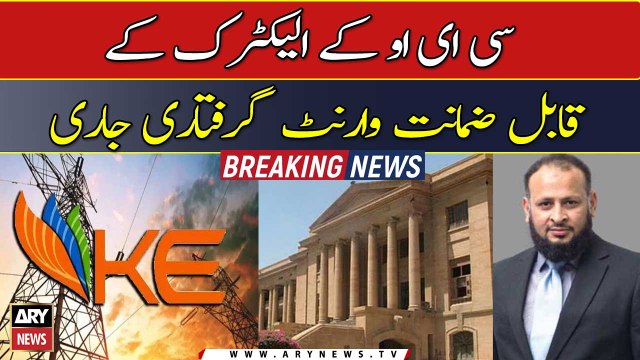 SHC issues bailable arrest warrant of CEO K- Electric