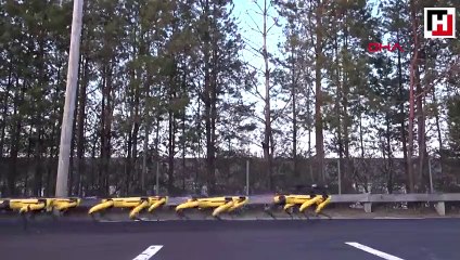 Kamyon çeken mini robotlar