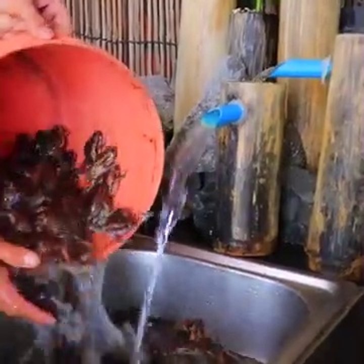 they eat frogs voraciously so hungry