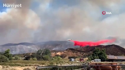 ABD’de 20 bin dönümden fazla ormanlık alan küle döndü