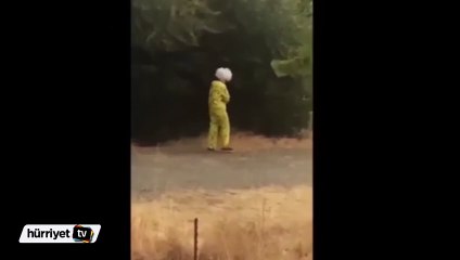 ABD'de yeni bir tür çılgınlık salgın gibi yayılıyor