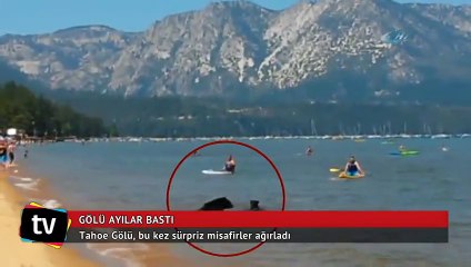 Gölü ayılar bastı