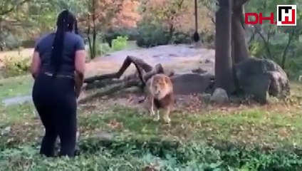 Hayvanat bahçesinde korkutan anlar