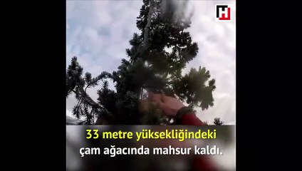 Donmak üzere olan kediyi böyle kurtardı