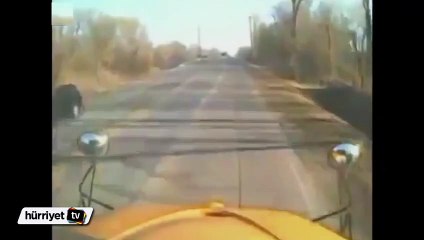 Okul otobüsü ile minibüs kafa kafaya çarpıştı