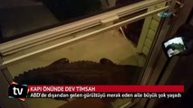 Aile, kapının önünde dev bir timsahla karşılaştılar