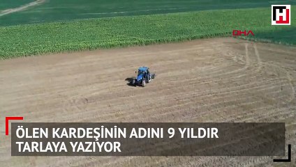 9 yıldır adını tarlaya yazıyor: 'Acısına dayanamıyorum'