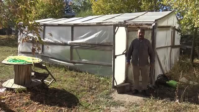 Kars gündem haberleri... Sarıkamış'ta emekli işçi 2150 rakımda sebze ve meyve yetiştiriyor
