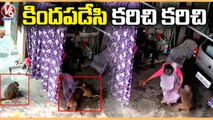 Monkeys Attacks a Old Woman In Peddapalli District | V6 News