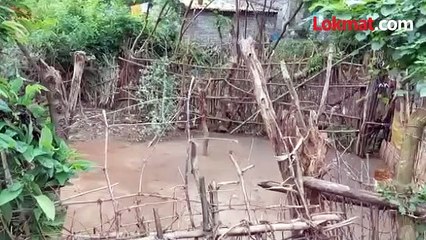 बिबट्याची दहशत