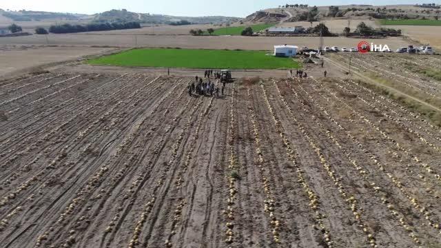 Nevşehir haberleri | Vali Becel: Çerezlik kabak çekirdeğinde, Türkiye'nin yüzde 31'ini Nevşehir üretiyor