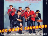 Les Chats Sauvages & Dick Rivers_Laisse-moi rire (C. Richard-Lessons in love)(1962)