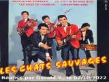 Les Chats Sauvages & Dick Rivers_Laisse-moi rire (C. Richard-Lessons in love)(1962)moikaraoké