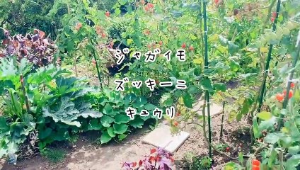 【一人暮らしアラサー独身女】03