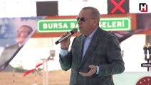 Erdoğan: 