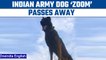 Army dog Zoom passes away days after being critically injured during operation | Oneindia News *News