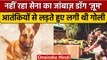 Army Dog Zoom Passes Away: बहादुर डॉग जूम नहीं रहा, आतंकी से लड़ा था | Indian Army | वनइंडिया हिंदी