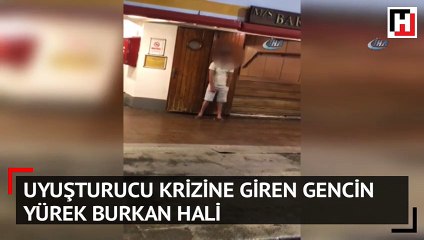 Adalar Vapuru’nda bonzai krizine girdi