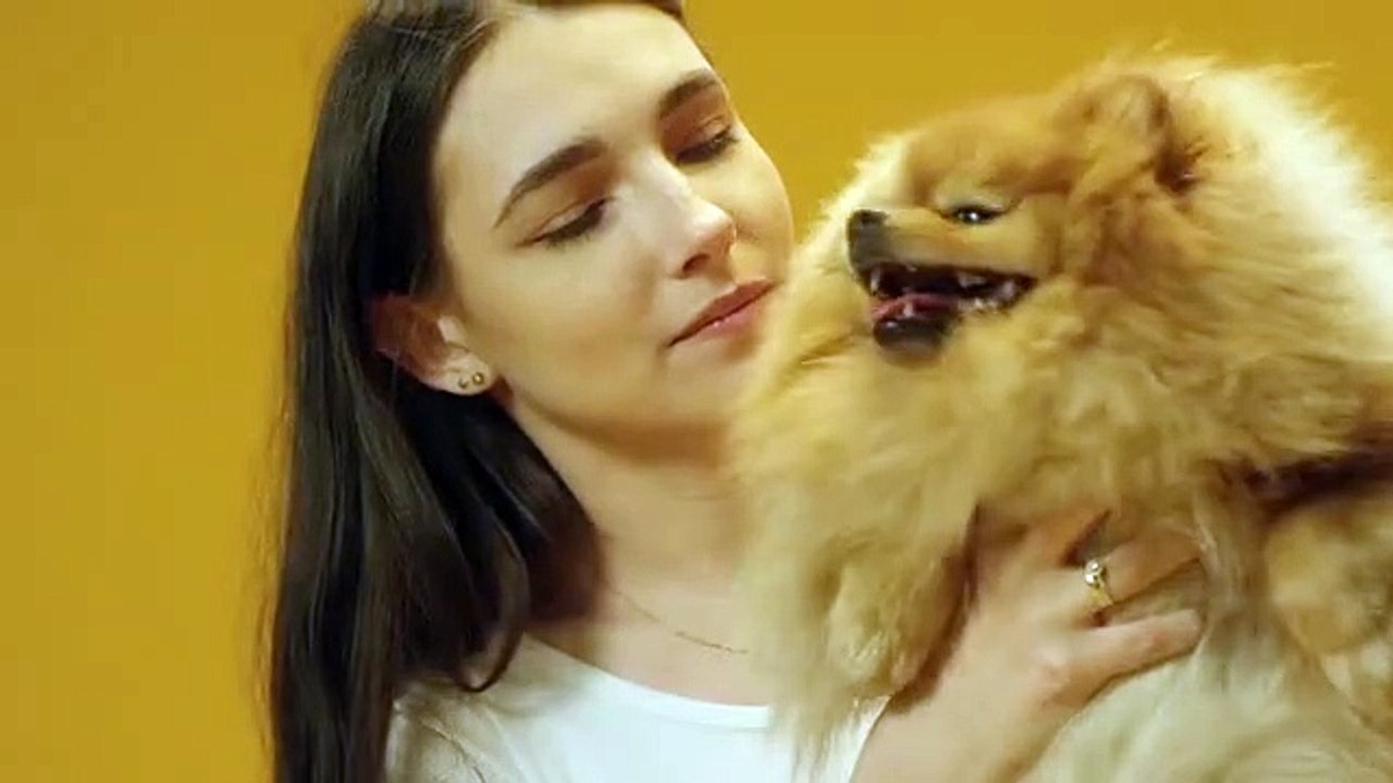 PUPPY DOG