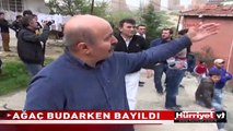 AĞACIN DALINDA BAYILINCA, HERKESİ KORKUTTU !