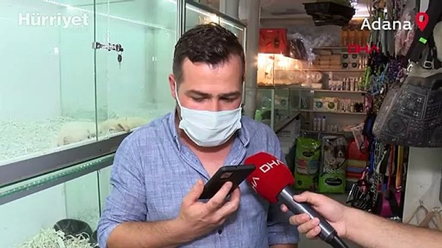 İnternetten hayvan satanlara pet marketlerden tepki. Bisikletle bile takas ediyorlar! Yılan, baykuş, akrep satıyorlar...
