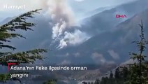 Son dakika... Adana'nın Feke ilçesinde orman yangını